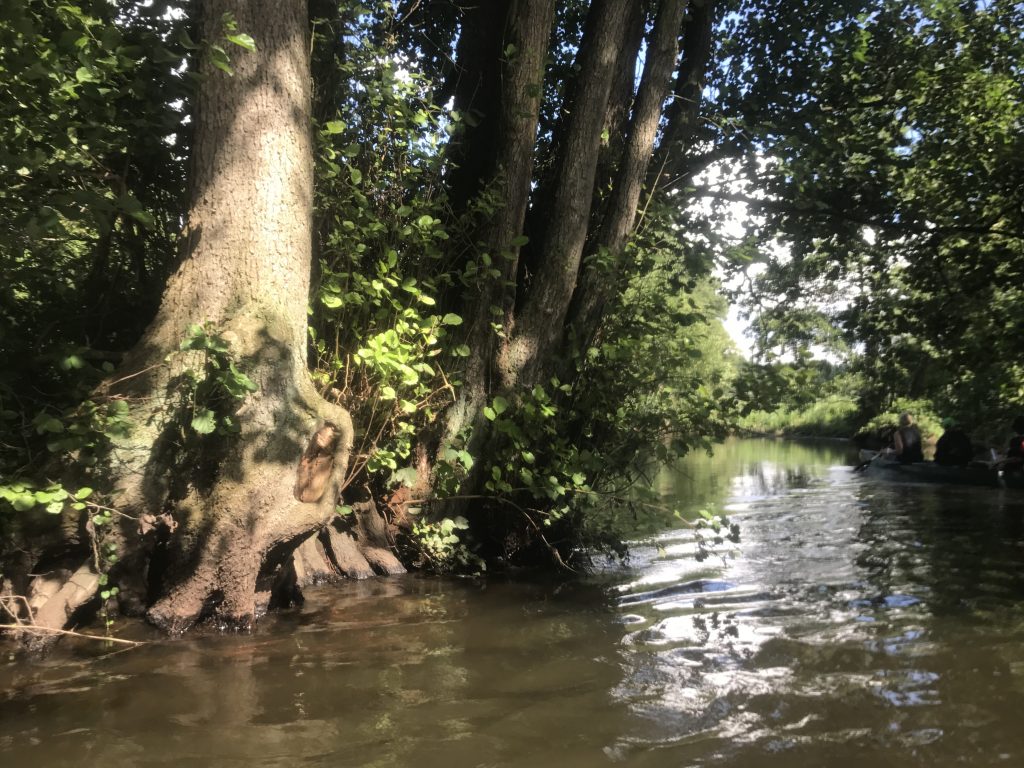 39+ Garten An Der Warnow, Der bungalow liegt am stadtrand der